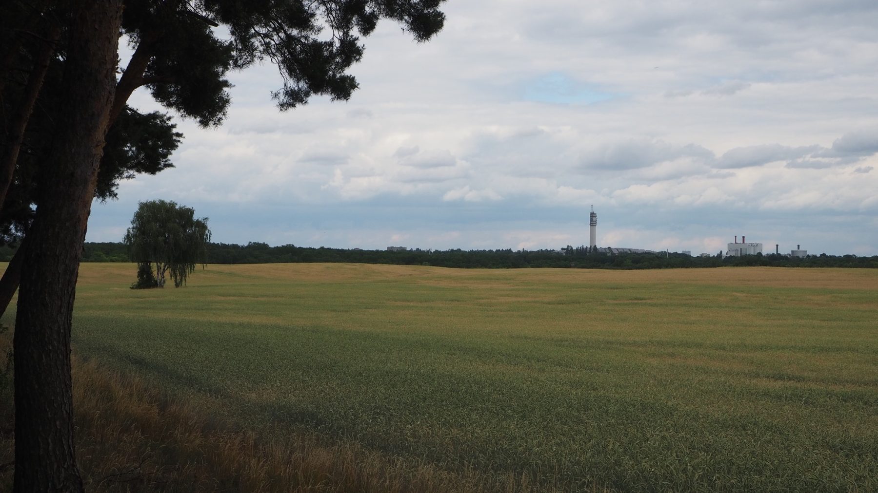 Windfeld Sichtachse SW-NO