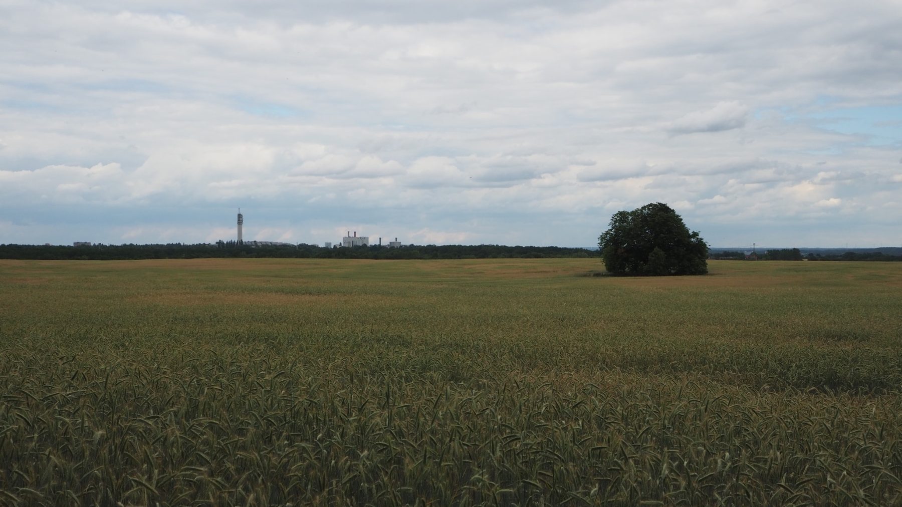 Windfeld Sichtachse W-O